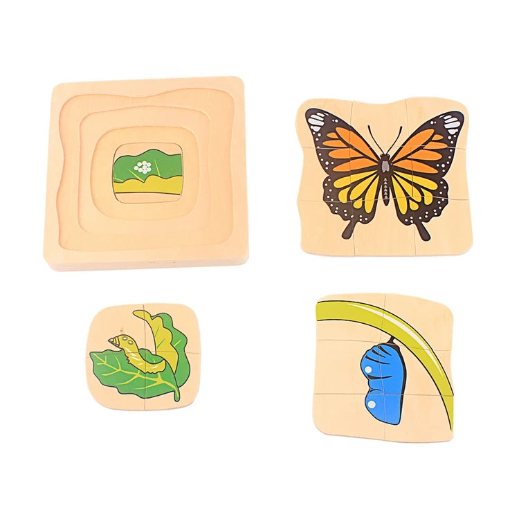 Baby Toys Montessori Materials Biology Wood Toy Life Cycle of Frog Animals Plant Human Hen Butterfly Biological Life Educational