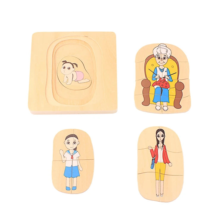 Baby Toys Montessori Materials Biology Wood Toy Life Cycle of Frog Animals Plant Human Hen Butterfly Biological Life Educational